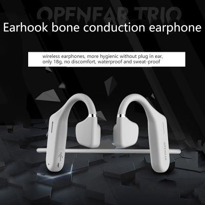 Earhook bone conduction earphone